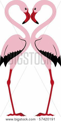 Two Flamingos