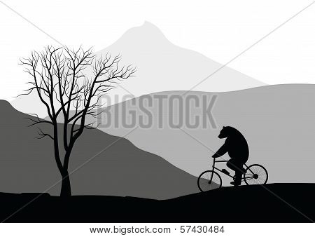 Bear on a bicycle.