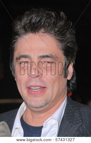 Benicio Del Toro at 