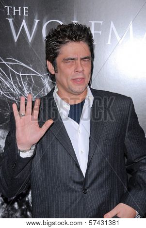 Benicio Del Toro  at 