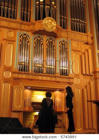 Orgel