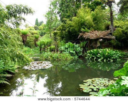 Trooppiset puutarhat Heligan