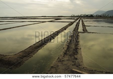 Large Salt Field In Cambodia