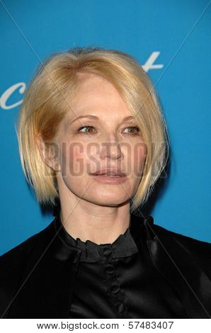 Ellen Barkin  at the 2009 UNICEF Ball Honoring Jerry Weintraub, Beverly Wilshire Hotel, Beverly Hills, CA. 12-10-09