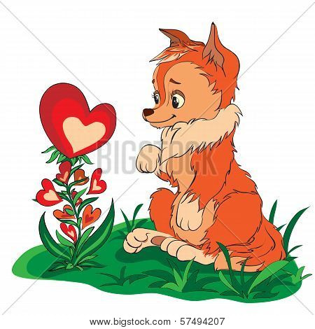 fox in a clearing looking at flower