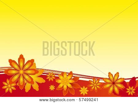 Flower Background