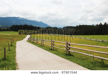 Village road