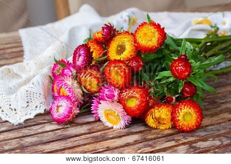 Bouquet of Everlasting flowers on table