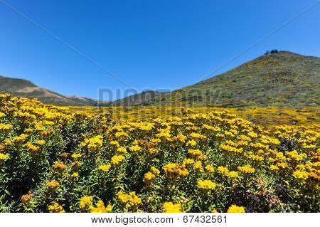 Landscape Of Mountain In Garrapata State Park