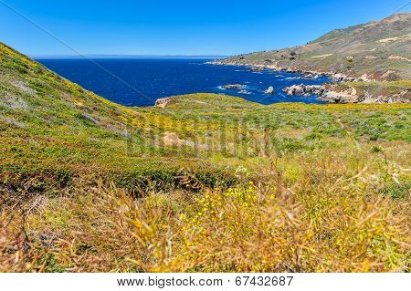 Landscape Of Pacific Ocean At Garrapata State Park
