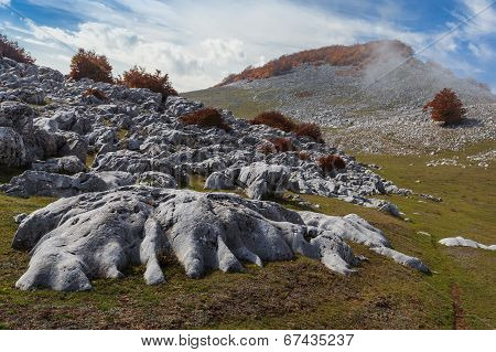 The Mehedinti Mountains