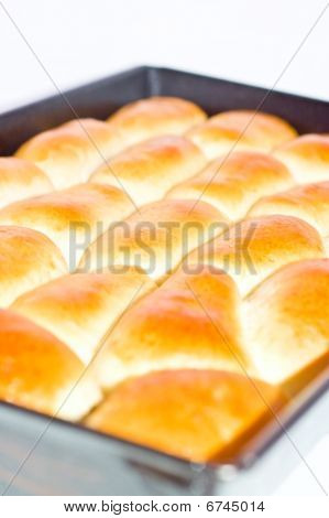 Świeże placki