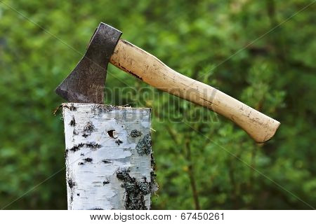 Axe in Birch log