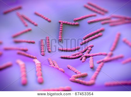 Streptococcus pneumoniae, bacteria artwork