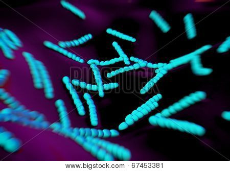 Streptococcus pneumoniae, bacteria artwork