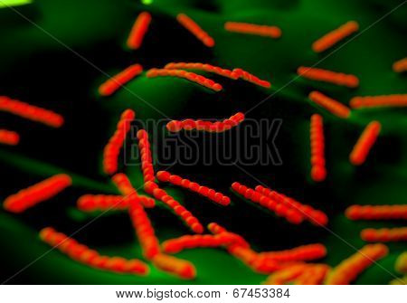 Streptococcus pneumoniae, bacteria artwork