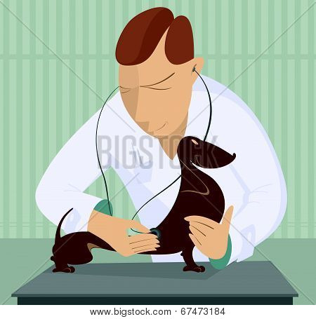 Veterinarian