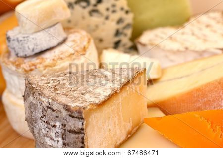Various Types Of Cheese