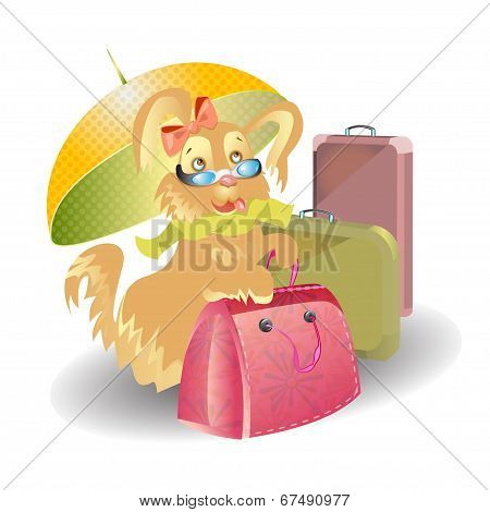 Dog travel with suitcases cartoon