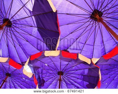 umbrella