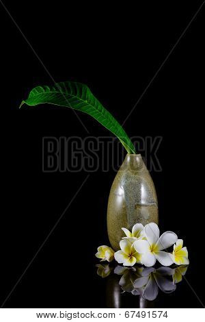 Frangipani Flower And Leaf In Vase Isolated On Black Background