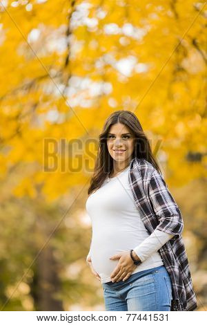 Young Pregnant Woman In The Autumn Park
