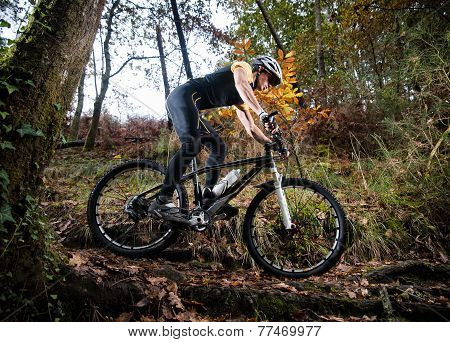 Cyclist On A Mountain Bike Riding In The Forest