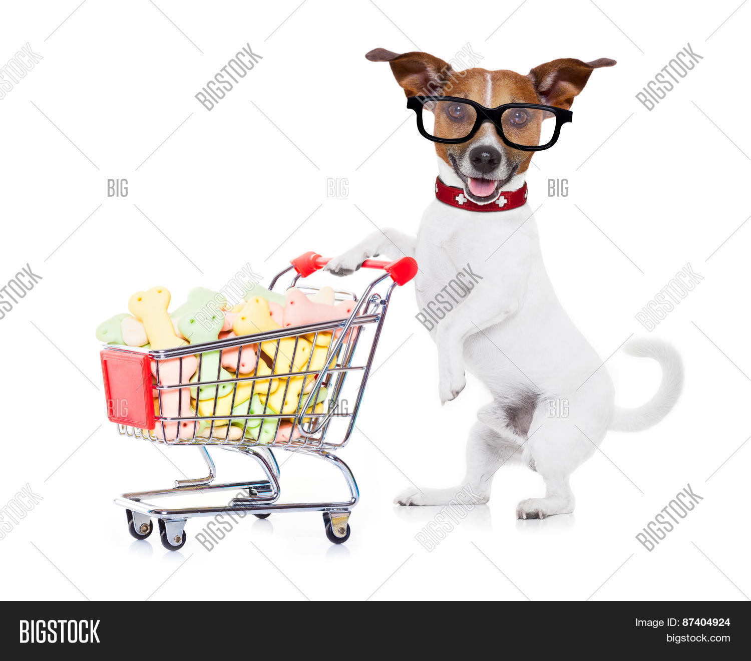 Dog Shopping Cart Image & Photo (Free Trial) Bigstock