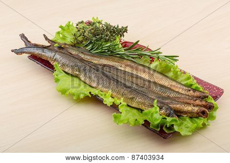 Lamprey