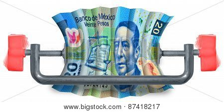 Mexican Budget