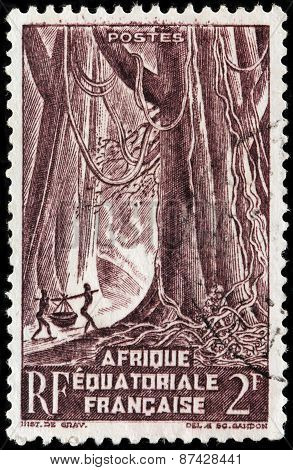 Rainforest Stamp