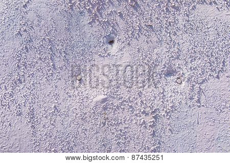 Texture Of Crack Filler With Two Nails