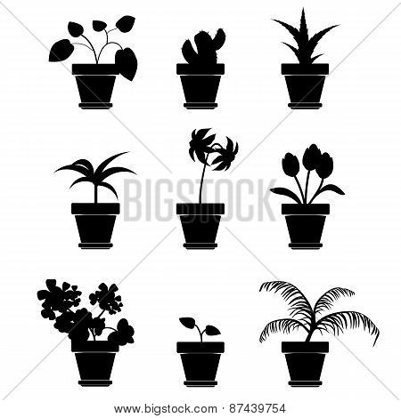 Vector Home Plants Clipart