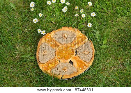 the tart fruit handmade freshly baked on grass
