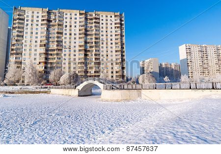 Snow-covered Trees In The City Of  Moscow, Russia