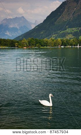 Zeller Lake, Zell am See, Austria, Europe