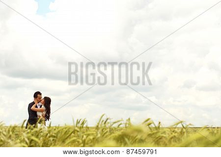 Bride And Groom Posing In The Fields