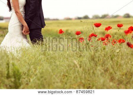 Bride And Groom Posing In The Fields