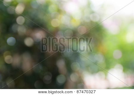Natural green blurred background