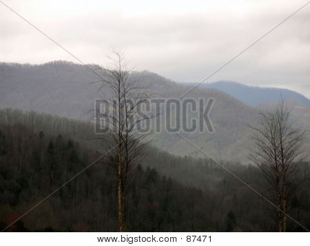 Smokey Mountains