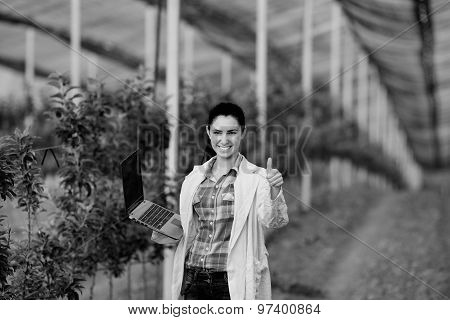Satisfied Woman Agronomist In Orchard