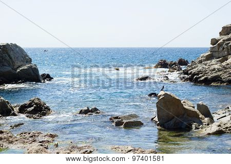 Sea rocks and waves