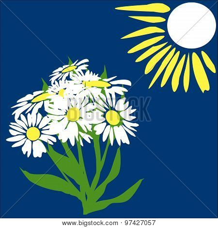 Sun And Daisies