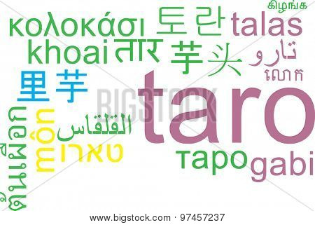 Background concept wordcloud multilanguage international many language illustration of taro