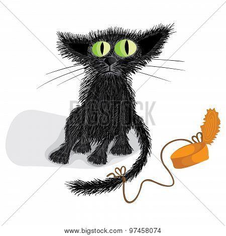 Sad cat