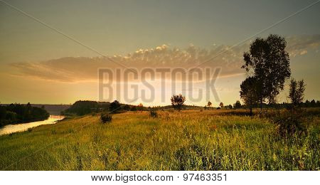 evening In The Forest
