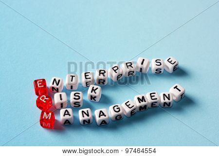 Erm Enterprise Risk Management