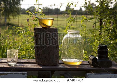 Evening The Apiary