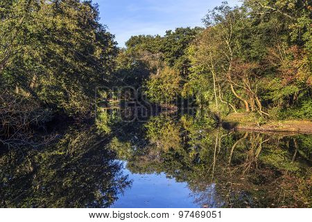Landscape At River Nidda In Frankfurt