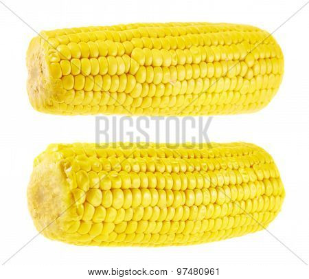 Cornstick corn on the cob isolated